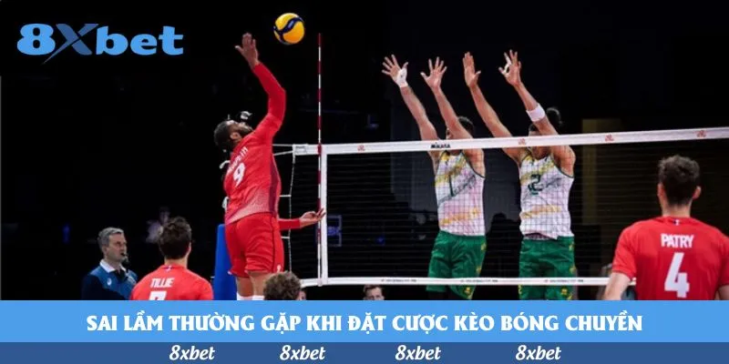 Sai lầm thường gặp khi đặt cược kèo bóng chuyền